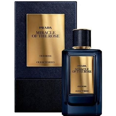 prada miracle of the rose oud rose|Mirages Miracle of the Rose Prada für Frauen und .